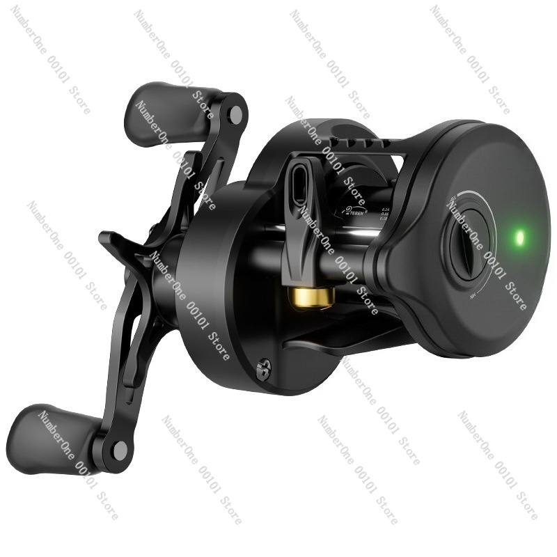 Electronic Magnetic Brake Fish - Conventional Reel 리뷰 및 가격