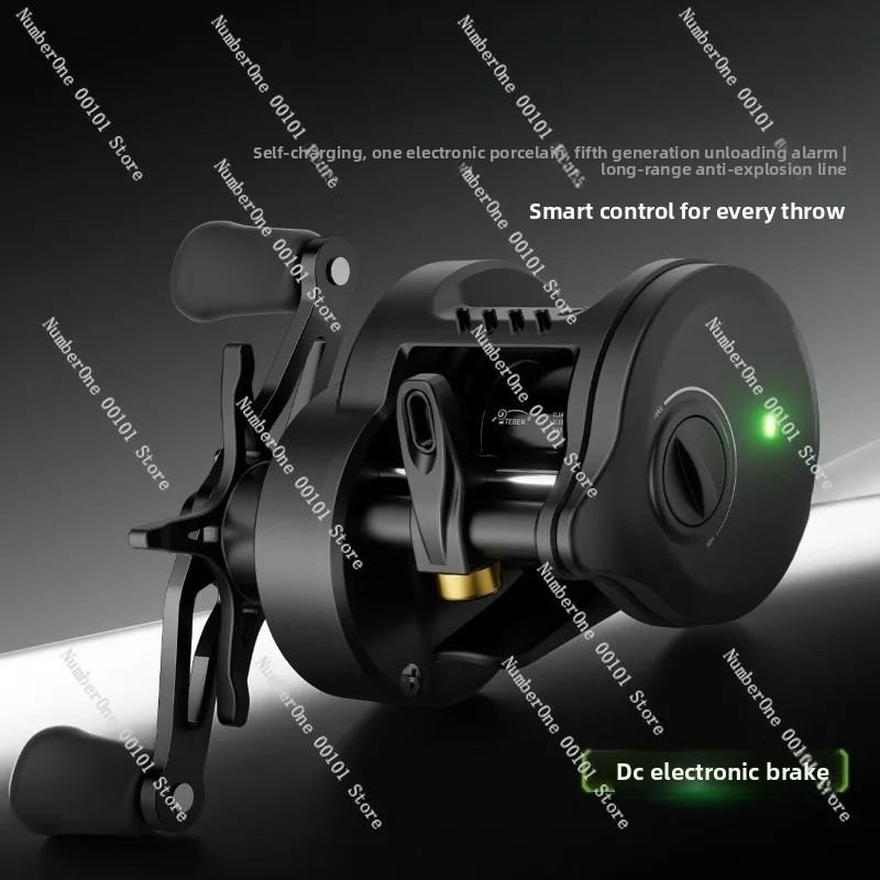 Electronic Magnetic Brake Fish - Conventional Reel 리뷰 및 가격
