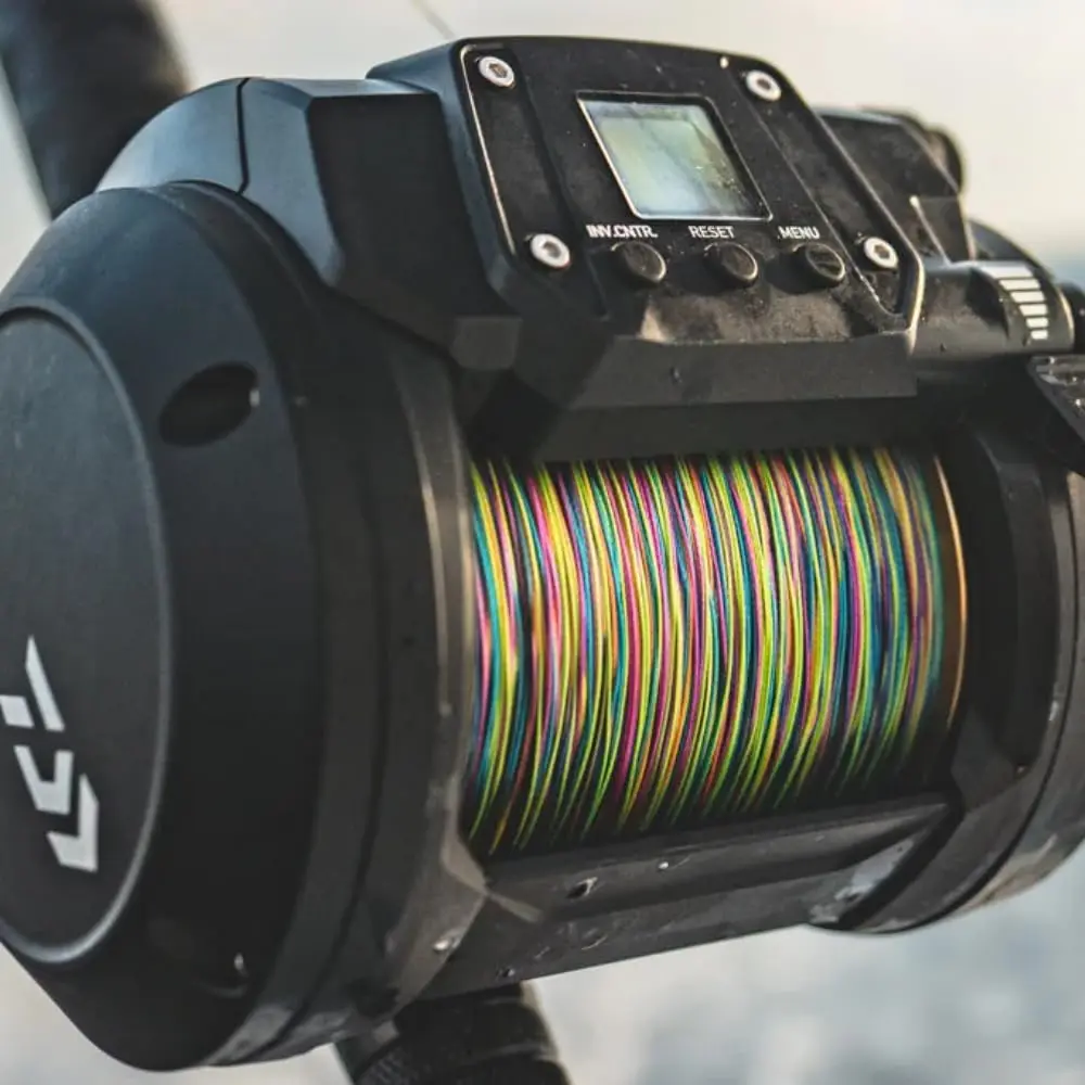 Black Daiwa TANACOM1000 Dendoh - Conventional Reel 리뷰 및 가격